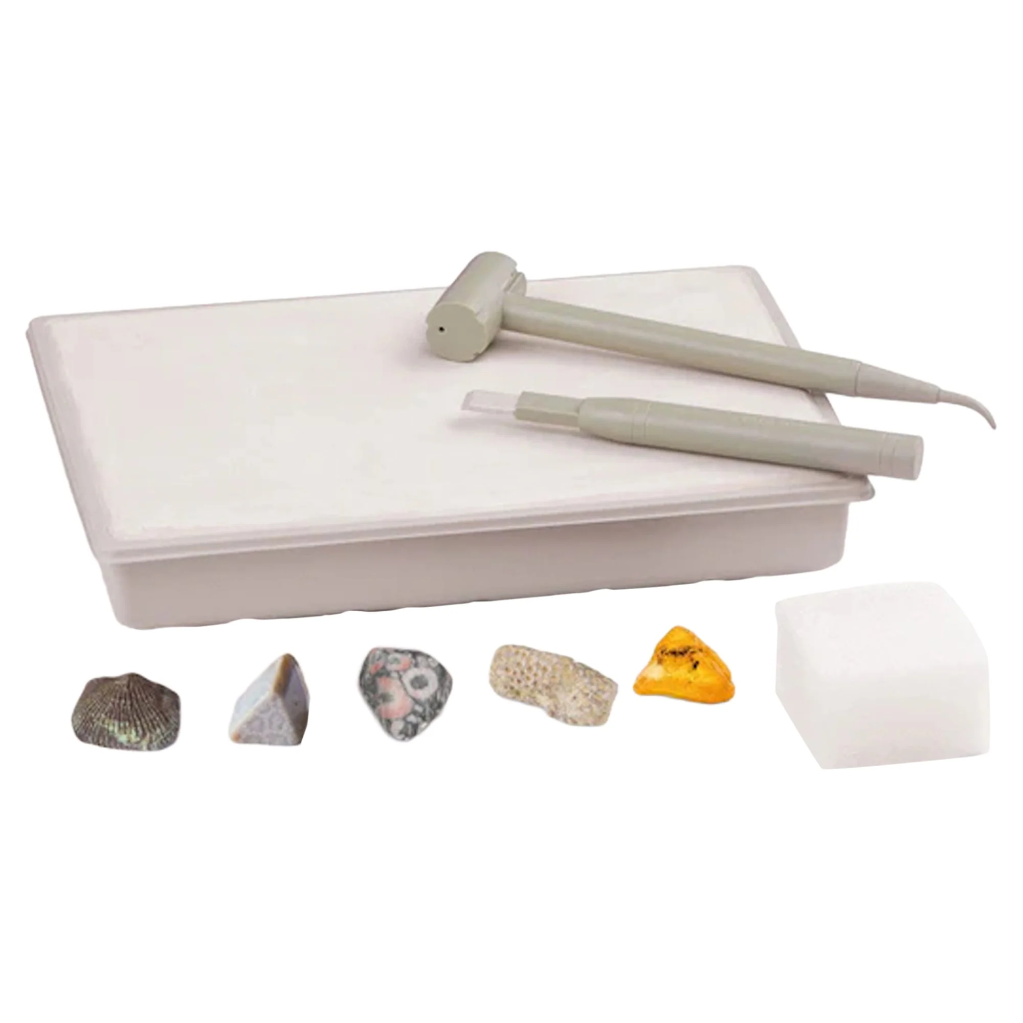 I Dig It! Fossils - Real Fossils Excavation Kit - Image 2