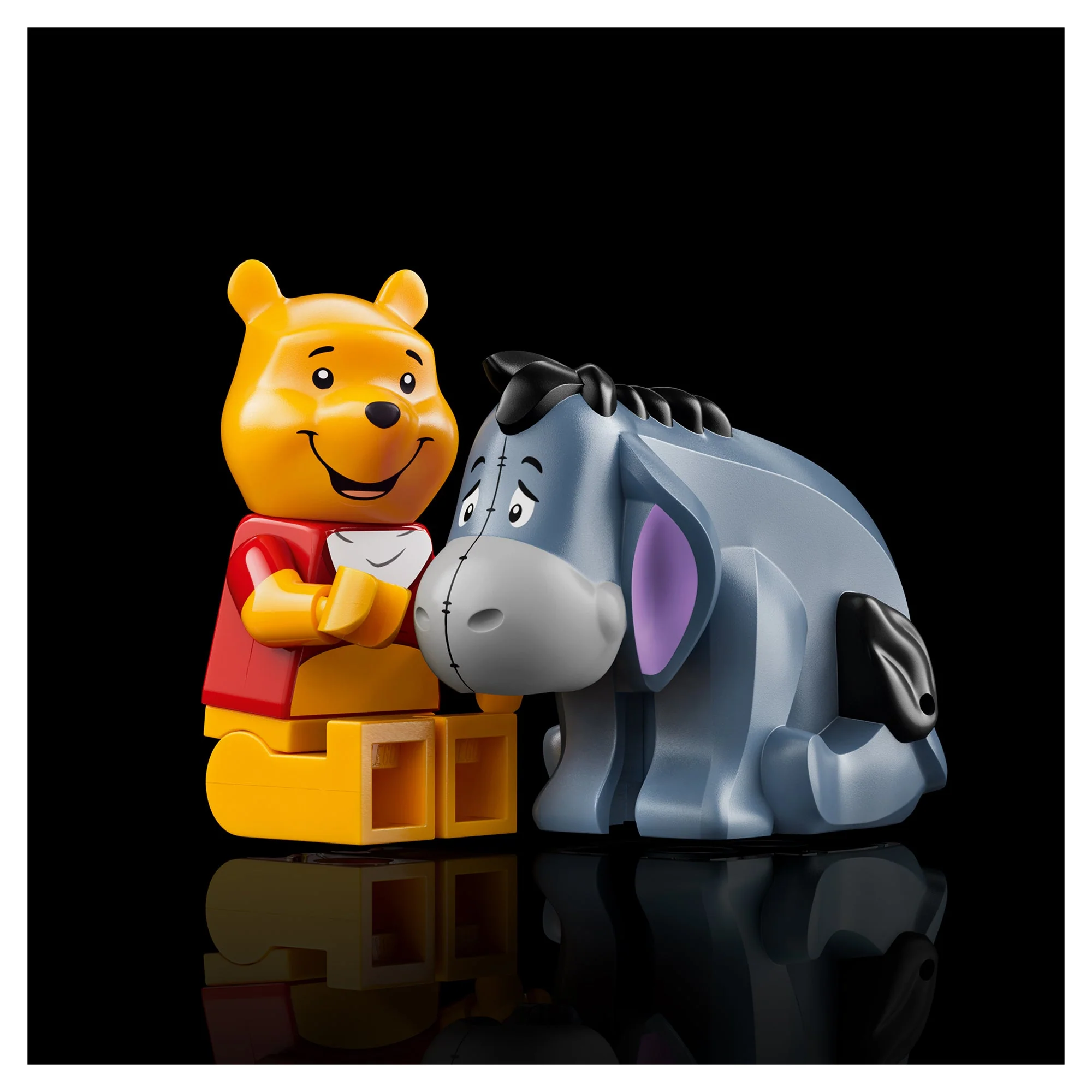 LEGO Disney Winnie the Pooh Building Set 43300 - Image 5