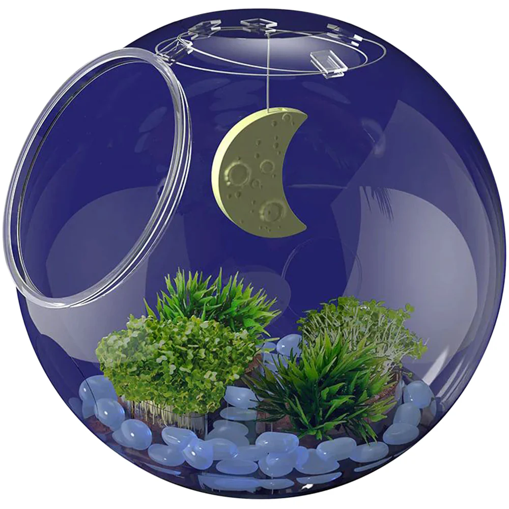 WOW in the World Light-Up Terrarium - Image 10